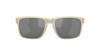 detail Oakley HOLBROOK