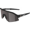 detail Unisex sluneční brýle ALPINA Sonic HR M Q-Lite