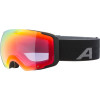 detail Unisex LYŽAŘSKÉ ALPINA Falera Mag Q