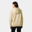 nahlad Dámská mikina Helly Hansen W ELEVATE HOODIE