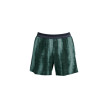 nahlad Pánské kraťasy ON Performance Shorts Terra