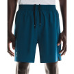 nahlad Pánské kraťasy ON Train Shorts