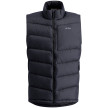 nahlad Pánská vesta Lundhags Fulu Down Vest M