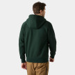 nahlad Pánská mikina Helly Hansen ELEVATE HOODIE