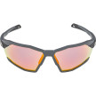 nahlad Unisex sluneční brýle ALPINA Twist Six QV