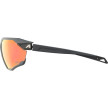 nahlad Unisex sluneční brýle ALPINA Twist Six QV