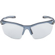 nahlad Unisex sluneční brýle ALPINA Twist Five HR