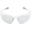 nahlad Unisex sluneční brýle ALPINA Twist Six S HR V