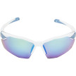 nahlad Unisex sluneční brýle ALPINA Twist Six S HR Q