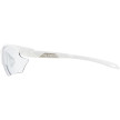 nahlad Unisex sluneční brýle ALPINA Twist Five HR S VL+