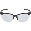 nahlad Unisex sluneční brýle ALPINA Twist Five HR S VL+