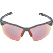 nahlad Unisex sluneční brýle ALPINA Twist Six HR QV