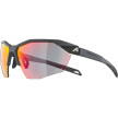 nahlad Unisex sluneční brýle ALPINA Twist Six HR QV