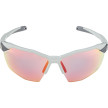 nahlad Unisex sluneční brýle ALPINA Twist Six HR QV