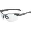 nahlad Unisex sluneční brýle ALPINA Twist Six HR V