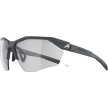 nahlad Unisex sluneční brýle ALPINA Twist Six HR V