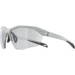 nahlad Unisex sluneční brýle ALPINA Twist Six HR V
