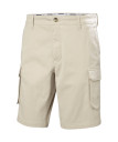 nahlad Pánské kraťasy Helly Hansen BRYGGEN CARGO SHORTS