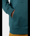 nahlad Pánská mikina Helly Hansen NORD GRAPHIC PULL OVER HOODIE
