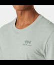 nahlad Pánské tričko Helly Hansen NORD GRAPHIC T-SHIRT