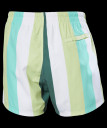 nahlad Pánské kraťasy Helly Hansen NEWPORT TRUNK