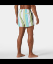 nahlad Pánské kraťasy Helly Hansen NEWPORT TRUNK