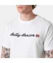 nahlad Pánské tričko Helly Hansen CORE GRAPHIC T 2.0