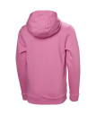 nahlad Dětské mikina Helly Hansen JR HH GRAPHIC HOODIE