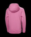 nahlad Dětské mikina Helly Hansen JR HH GRAPHIC HOODIE