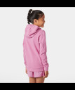 nahlad Dětské mikina Helly Hansen JR HH GRAPHIC HOODIE