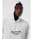 nahlad Pánská mikina Helly Hansen MOVE SWEAT HOODIE