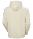 nahlad Pánská mikina Helly Hansen CORE GRAPHIC SWEAT HOODIE