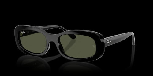 Dámské sluneční brýle Ray-Ban 0RB2221