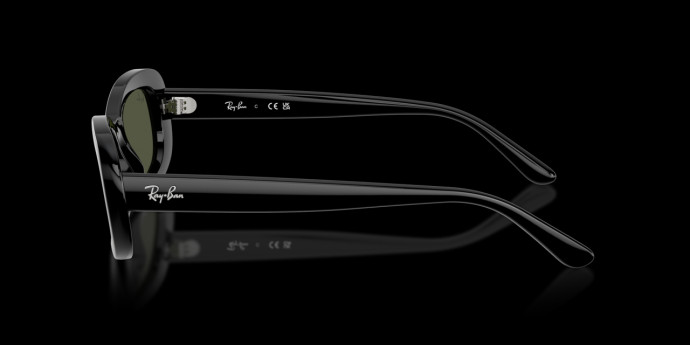 detail Dámské sluneční brýle Ray-Ban 0RB2221