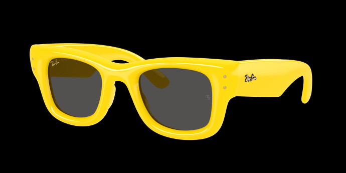 detail Ray-Ban Wayfarer puffer