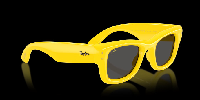 detail Ray-Ban Wayfarer puffer