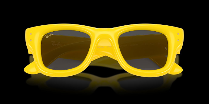 detail Ray-Ban Wayfarer puffer