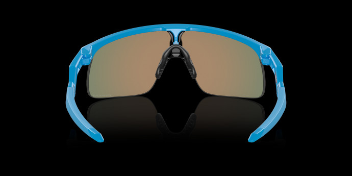 detail Oakley RESISTOR