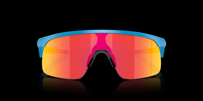 detail Oakley RESISTOR