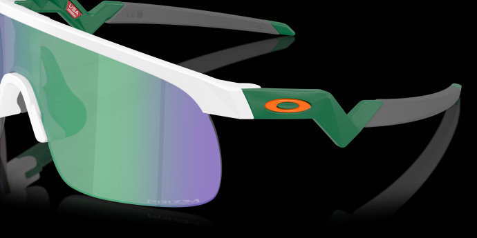 detail Oakley RESISTOR
