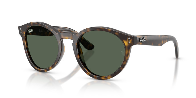 detail Unisex sluneční brýle Ray-Ban 0RBR0505S