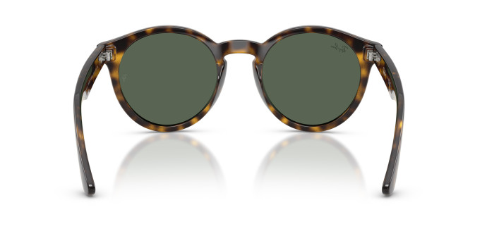 detail Unisex sluneční brýle Ray-Ban 0RBR0505S
