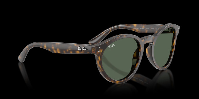 detail Ray-Ban 0RBR0505S