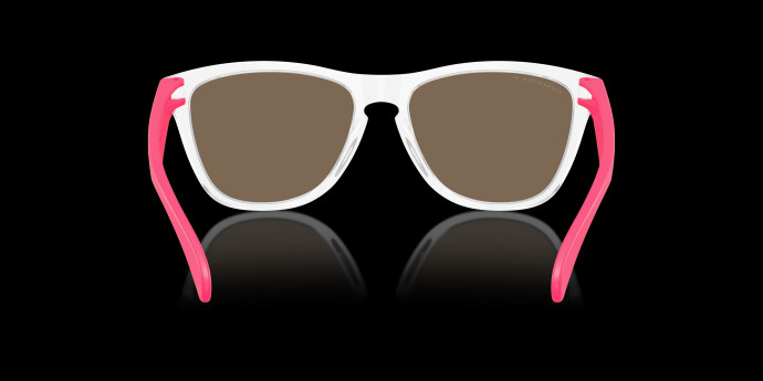 detail Oakley FROGSKINS