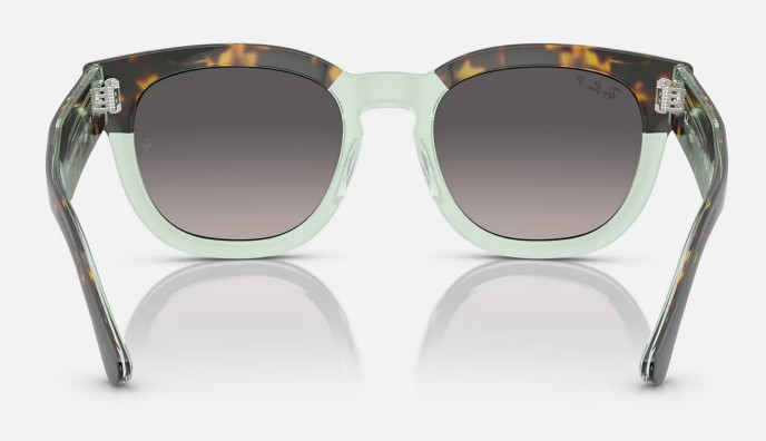 detail Dámské sluneční brýle Ray-Ban RB 0298S Mega Hawkeye