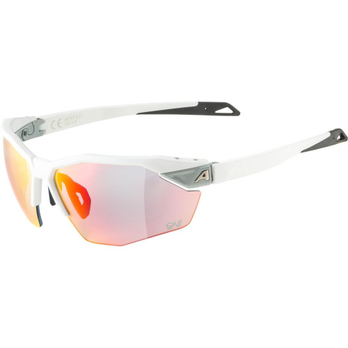Unisex sluneční brýle ALPINA Twist Six S HR QV