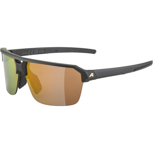 Unisex sluneční brýle ALPINA Swift HR