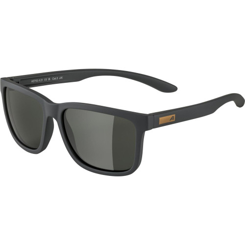 Unisex sluneční brýle ALPINA Burst
