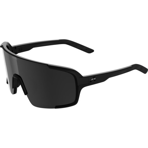 Unisex sluneční brýle ALPINA Lumin