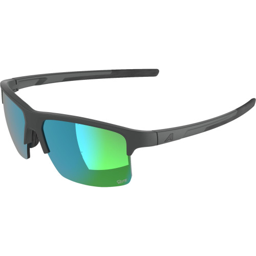 Unisex sluneční brýle ALPINA Eagle Q-Lite